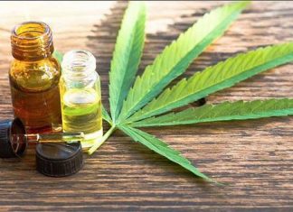 Llevarán a cabo estudios e investigaciones sobre el uso medicinal del cannabis