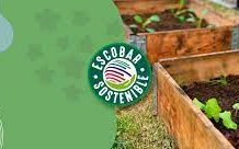 Cada día más políticas sostenibles para seguir transformando Escobar