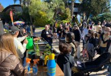 Fiesta Nacional de la Flor: continúan las charlas sobre cuidado del ambiente y desarrollo sostenible