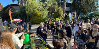 Fiesta Nacional de la Flor: continúan las charlas sobre cuidado del ambiente y desarrollo sostenible