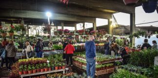 Tetsuya Hirose: “Vivimos la Fiesta Nacional de la Flor más exitosa de los últimos 10 años”