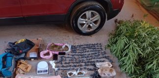 Desbaratan una banda narcocriminal en Maquinista Savio