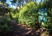 Escobar Sostenible: convocan a la comunidad a diseñar un mapa virtual de biocorredores