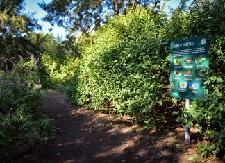 Escobar Sostenible: convocan a la comunidad a diseñar un mapa virtual de biocorredores