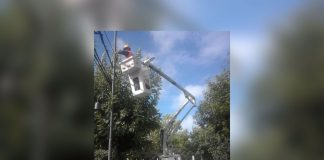 Alumbrado público: el Municipio reparó 369 luminarias e instaló 80 puntos de luz nuevos