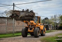 Escobar Sostenible: inicia la producción de compost a partir de restos de poda