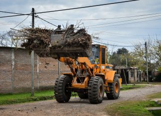 Escobar Sostenible: inicia la producción de compost a partir de restos de poda