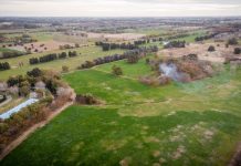 Ingeniero Maschwitz: dos detenidos tras frustrar una venta ilegal de tierras municipales