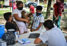 Inicia la campaña anual de vacunación antirrábica para mascotas