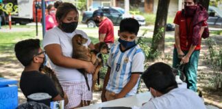 Inicia la campaña anual de vacunación antirrábica para mascotas