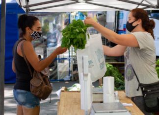 Mercados Bonaerenses