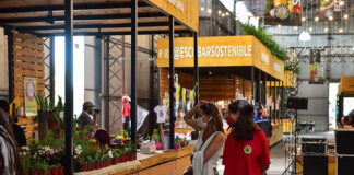 La Municipalidad ofrece distintas actividades culturales y recreativas para disfrutar este fin de semana