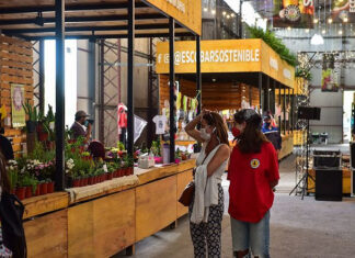 La Municipalidad ofrece distintas actividades culturales y recreativas para disfrutar este fin de semana