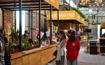 La Municipalidad ofrece distintas actividades culturales y recreativas para disfrutar este fin de semana