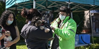 Continúa la campaña de vacunación antirrábica para mascotas en Ingeniero Maschwitz, Garín y Belén de Escobar