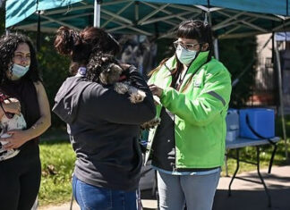 Continúa la campaña de vacunación antirrábica para mascotas en Ingeniero Maschwitz, Garín y Belén de Escobar