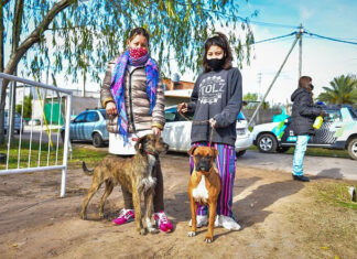 Zoonosis: continúa la campaña de vacunación antirrábica para mascotas del distrito