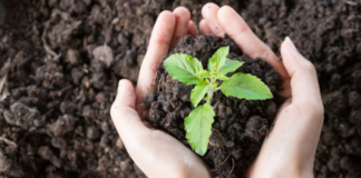 Escobar Sostenible: relanzan el programa Protectores Ambientales