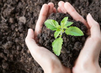 Escobar Sostenible: relanzan el programa Protectores Ambientales