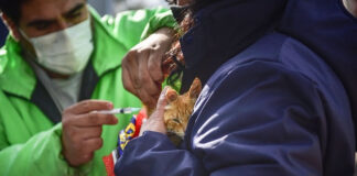 En junio continúa la campaña de vacunación antirrábica para mascotas
