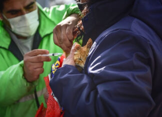 En junio continúa la campaña de vacunación antirrábica para mascotas