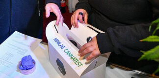 Avanza el proyecto de producción de aceite de cannabis con fines medicinales