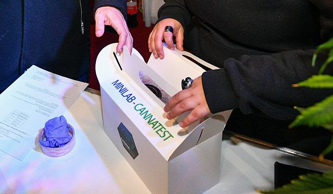 Avanza el proyecto de producción de aceite de cannabis con fines medicinales