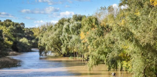 Escobar se suma al fortalecimiento de acciones para la preservación del Sistema de Humedales Paraná–Paraguay