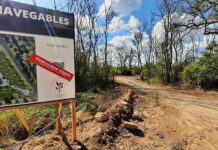 Loteo clandestino: clausura y denuncia penal