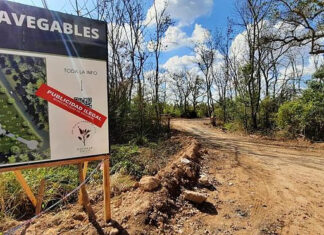 Loteo clandestino: clausura y denuncia penal