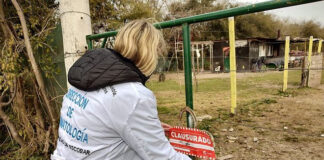 Clausuran criadero de cerdos clandestino