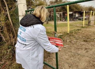 Clausuran criadero de cerdos clandestino