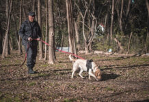 La División Canina escobarense sumó seis canes