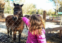 La Granja Educativa Don Benito tuvo récord de visitas y se prepara para festejar su quinto aniversario