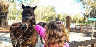 La Granja Educativa Don Benito tuvo récord de visitas y se prepara para festejar su quinto aniversario