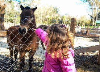 La Granja Educativa Don Benito tuvo récord de visitas y se prepara para festejar su quinto aniversario