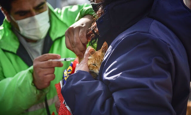 Julio: Zoonosis continúa con la campaña de vacunación antirrábica