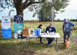 Zoonosis: continúa la campaña de vacunación antirrábica y se suma el servicio de castración