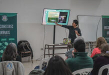 Lanzan nueva capacitación para preservar el rol clave de las mariposas como polinizadoras