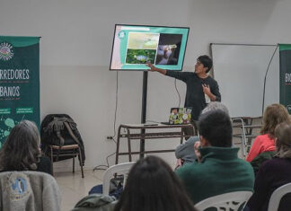 Lanzan nueva capacitación para preservar el rol clave de las mariposas como polinizadoras