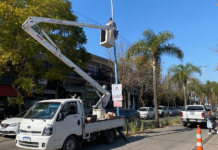 Continúa la instalación y renovación de cámaras de seguridad de última tecnología