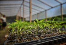 El influencer Felipe Castro realizará un curso de huerta agroecológica en Ingeniero Maschwitz