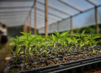 El influencer Felipe Castro realizará un curso de huerta agroecológica en Ingeniero Maschwitz