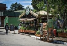 La Fiesta Nacional de la Flor ofrece un amplio cronograma de charlas y talleres sobre educación ambiental