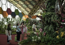 Fiesta Nacional de la Flor: finalizó la 59ª edición con un récord histórico de visitantes