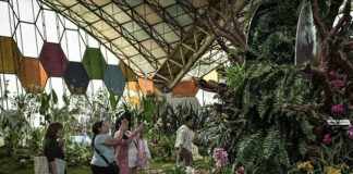 Fiesta Nacional de la Flor: finalizó la 59ª edición con un récord histórico de visitantes