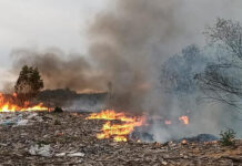 El Municipio solicitó a la Justicia la detención de los responsables del daño ambiental y contaminación de un predio en Ingeniero Maschwitz