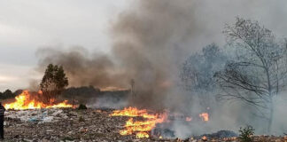 El Municipio solicitó a la Justicia la detención de los responsables del daño ambiental y contaminación de un predio en Ingeniero Maschwitz