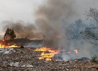 El Municipio solicitó a la Justicia la detención de los responsables del daño ambiental y contaminación de un predio en Ingeniero Maschwitz