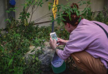 El programa municipal “Biocorredores” será impulsado en todo el país por el Ministerio de Ciencia y Tecnología de la Nación